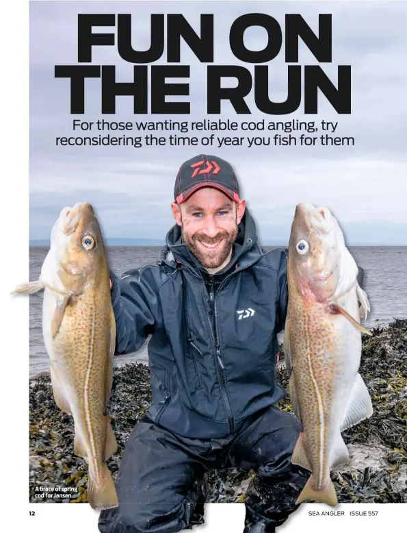  ??  ?? A brace of spring cod for Jansen