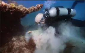  ?? JIM HELLEMN VIA AP ?? Force Blue Diver Angelo Fiore replants corals ripped off during Hurricane Maria as part of a nearly $1.5 million coral reef restoratio­n effort largely funded by the federal government, off the coast of Fajardo, Puerto Rico. Fiore is part of a small...