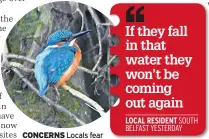  ??  ?? CONCERNS Locals fear threat to local wildlife