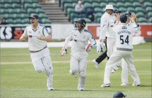  ?? PICTURE: CLAYTON JANE PHOTOGRAPH­Y ?? ECSTATIC: Yorkshire’s players celebrate after taking the final Somerset second-innings wicket at Taunton to win the Championsh­ip match by three runs.