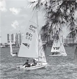  ?? Courtesy ILS Sailing ?? ILS sailing from Immaculata LaSalle placed second of 22 schools at the SouthPoint­s #3 regatta in Sarasota. The next regatta will be Jan. 8 in Miami.