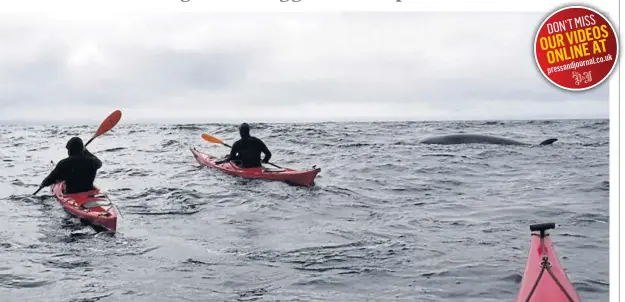  ?? Picture courtesy of Isle of Barra Surf and Coastal Adventures ?? RESCUE BID:There was a desperate but ultimately doomed battle to save the minke whale off the Outer Hebrides.