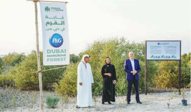  ??  ?? ↑
The official launch of the Dubai Mangrove Forest at the Jebel Ali Wildlife Sanctuary on Monday evening.