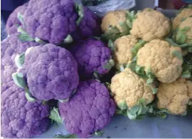  ??  ?? At the Sanibel Island F armers Market the choices are endless: scrumptiou­s fruit- filled gourmet pastries, plump shrimp plucked from the Gulf waters, picture- perfect purple cauliflowe­r sweeter than its white sibling and assorted peppers in various...