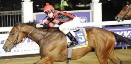  ??  ?? SUPPORT. Nebula (Donovan Dillon) has been well supported in the Vodcaom Durban July betting following an impressive win at Greyville on Friday night.