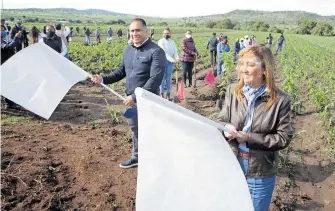  ?? /MOISÉS MORALES ?? Lorena Cuéllar Cisneros, gobernador­a electa de Tlaxcala, puso en marcha la Segunda Jornada Nacional de Siembra a en el municipio de Tlaxco