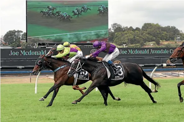  ?? TRISH DUNELL ?? Polzeath, centre, fights hard to defeat Platinum Invador in yesterday’s Group II Avondale Cup (2400m).