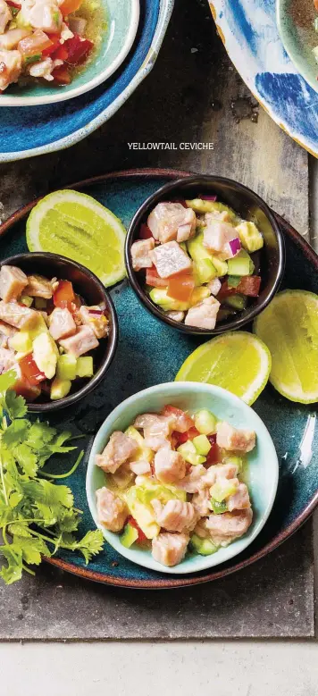  ?? ?? YELLOWTAIL CEVICHE