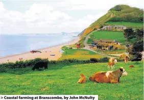  ??  ?? > Coastal farming at Branscombe, by John McNulty