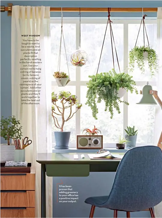  ??  ?? It has been proven that adding greenery to your office has a positive impact on your output.