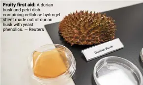  ??  ?? Fruity first aid: a durian husk and petri dish containing cellulose hydrogel sheet made out of durian husk with yeast phenolics. — reuters