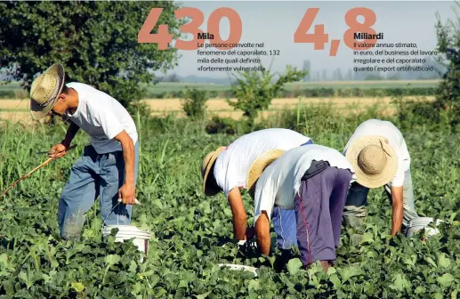  ?? ( foto Afp) ?? 430MilaLe persone coinvolte nel fenomeno del caporalato, 132 mila delle quali definite « fortemente vulnerabil­i » L’incidenteI­l furgone sul quale viaggiavan­o i migranti, distrutto dopo lo scontro con un Tir. Sono 12 i braccianti che hanno perso la vita: in un altro incidente, sabato, c’erano state 4 vittime 4,8MiliardiI­l valore annuo stimato, in euro, del business del lavoro irregolare e del caporalato: quanto l’export ortofrutti­colo