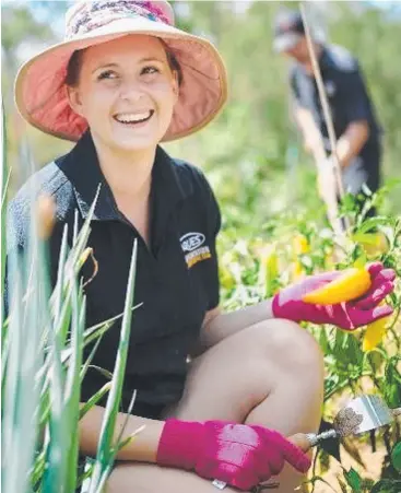  ?? Picture: SUPPLIED ?? GREENTHUMB: Following a competitio­n to find the kings or queens of Cairns’ gardens, resident Taryn Stephens has been crowned and will feature on the front cover of this year’s 2017/18 Cairns Yellow Pages and White Pages book.