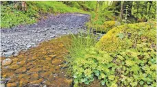  ?? FOTO: SUSI DONNER ?? Oft über Stock und Stein, so gut wie nie über Asphalt führen die Wanderwege.