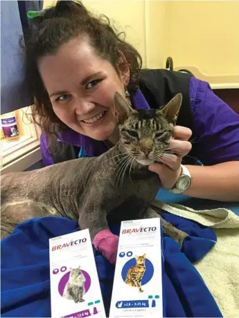  ?? Photo: Contribute­d ?? DEADLY BITE: Dr Alice Murray with Leopold the cat. The veterinari­an is encouragin­g pet owners to be cautious about paralysis ticks.