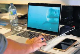  ?? TIM KROCHAK • SALTWIRE NETWORK ?? Dr. Mikki Mccomb-kobza, executive director with the Ocean First Institute, watches a female great white shark swim past her camera, which was placed on a bait line, as the OCEARCH crew try to capture a great white shark off West Ironbound Island on Tuesday Sept. 28, 2021.