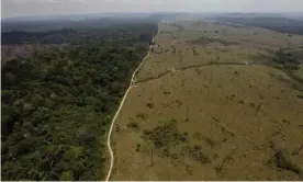  ??  ?? Deforestat­ion in Brazil’s Para state. Stripping land wholesale, for uses such as cattle farms and coffee plantation­s, can affect the climate which then affects the health of the land. Photograph: Andre Penner/AP