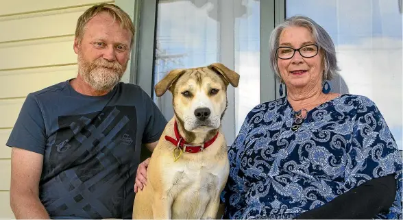  ?? LIAM COURTENAY/STUFF ?? Mike and Dianne Phillips with their huntaway cross rescue dog, Ruby. ‘‘We just love her to bits,’’ says Dianne.