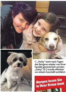 Erneut Kleiner Hund Entfuhrt Pressreader