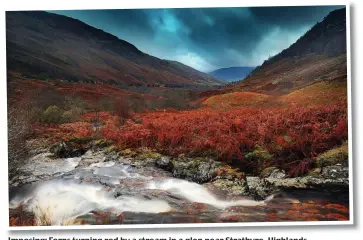 ??  ?? Imposing: Ferns turning red by a stream in a glen near Strathyre, Highlands