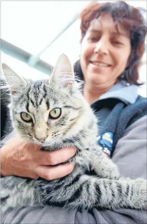  ?? Photo: NICOLE GOURLEY/
FAIRFAX NZ 627811965 ?? New life: SPCA Southland vet nurse Susie Henderson, with a kitten at the shelter yesterday, was excited
about the upcoming rebuild.