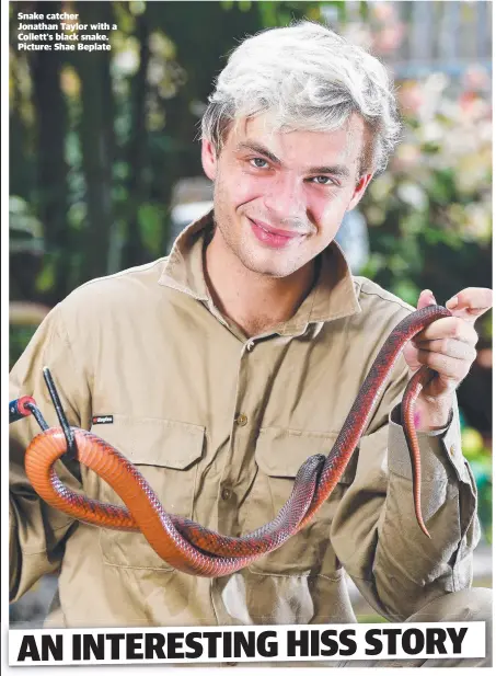  ?? ?? Snake catcher Jonathan Taylor with a Collett's black snake. Picture: Shae Beplate