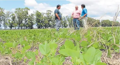  ??  ?? Decididos. El clima fue el factor más adverso de la última campaña y que más complicó las planificac­iones.