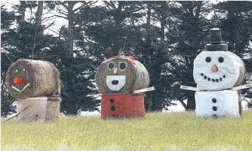  ??  ?? Three Christmas character hay bales on a farm in Old Sale Rd at Buln Buln make good day time viewing.