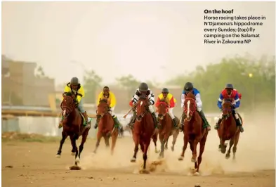  ??  ?? On the hoof Horse racing takes place in N’Djamena’s hippodrome every Sunday; (top) fly camping on the Salamat River in Zakouma NP