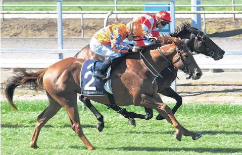  ?? Picture / NZ Racing Desk ?? Griffin (2) paid $17.10 for his win at Matamata yesterday.