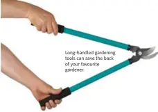  ??  ?? Long-handled gardening tools can save the back of your favourite gardener.