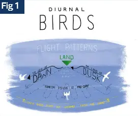 Not just for the birds - PressReader