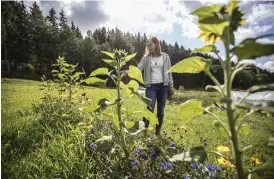  ??  ?? SVÅRT ATT PLANERA. Vädergudar­na gav överraskni­ngar och dränkte många av hennes potatisar, som började mögla. Sedan dess har det växt nya färska.