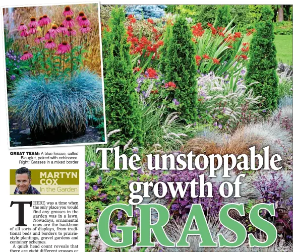  ??  ?? GREAT TEAM: A blue fescue, called Blauglut, paired with echinacea. Right: Grasses in a mixed border