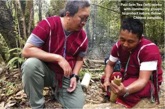  ??  ?? Paul Sein Twa (left) works with community groups to protect nature. Below: Chinese pangolin.