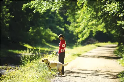  ??  ?? Williams and Hailey take regular walks along the C&O Canal. Her new book, “The Nature Fix,” notes that Albert Einstein, Nikola Tesla and Charles Darwin walked outdoors to stimulate their thinking.