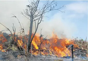  ?? Picture: MICHAEL PINYANA ?? Parts of Beacon Bay were showered with ash from Buffalo City Metro's blazing refuse tip. Residents have had enough