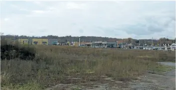  ?? MICHELLE ALLENBERG/ WELLAND TRIBUNE ?? Almost 0.6 hectares of town- owned land located behind the Food Basics has been sold for $ 1.1 million and is set to be the site of a seniors apartment building.