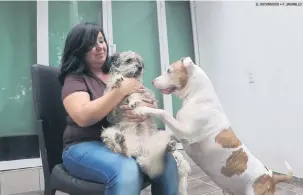  ?? EL INFORMADOR • F. JARAMILLO ?? RESCATISTA. Martha Napoleón ha dedicado 10 años de su vida a salvar a perros callejeros.