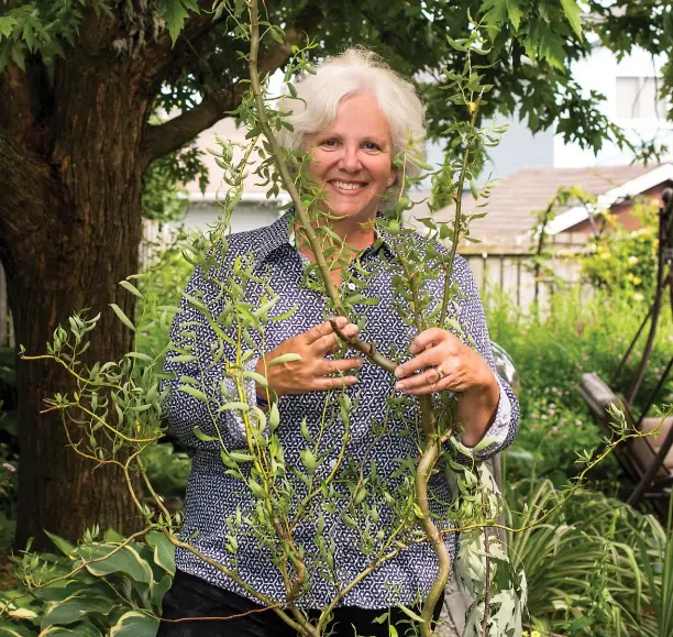  ?? Photograph­y Peter Tym ?? In preparatio­n for moving to a smaller home, Wendy Fifield potted cuttings from two trees that had sentimenta­l ties for her and her husband, including the tall maple tree behind her and a curly willow.