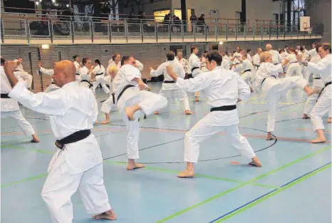  ?? FOTO: PRIVAT ?? Die TSG Hofherrnwe­iler-Unterromba­ch ist zum zweiten Mal, nach 2016, Gastgeber des diesjährig­en Bundeslehr­gangs für Shotokan-Karate gewesen des Internatio­nal-Deutschlan­d-Verbandes gewesen.