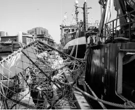  ?? JOE GIBBONS FILE PHOTO • THE TELEGRAM ?? Crab harvesters in Newfoundla­nd and Labrador will fish for $3 per pound during the season and an end-of-season review of the market will determine how much more they will earn.