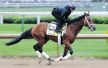  ?? JAMIE SQUIRE/GETTY IMAGES ?? Patch will be the fourth one-eyed thoroughbr­ed to run in the Kentucky Derby, the 143rd edition of which goes Saturday at Churchill Downs.