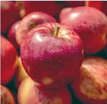  ?? LUZ ZUNIGA/STUFF ?? Cedenco Foods will relocate apple processing from Nelson to its existing Hastings site at the end of the 2020 season.