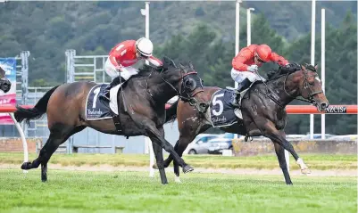  ?? PHOTO: RACE IMAGES PALMERSTON NORTH ?? Stretching out . . . Enzo’s Lad (outer) beats Ferrando in the 2019 Telegraph at Trentham.