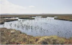  ?? ?? Scotland’s Flow Country – home to important peatlands