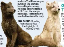  ??  ?? SO CUTE: Spotting Arctic foxes was the highlight of
Wendy’s visit