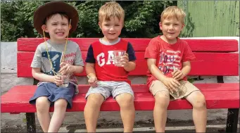  ?? Photo by John Delea ?? Ben Connolly (4), Ballincoll­ig with brothers Eoghan (3) & Jack Sugrue, Glasheen cooling down with some water at the Liz Lucey Memorial Run in Inchigeela on Sunday.