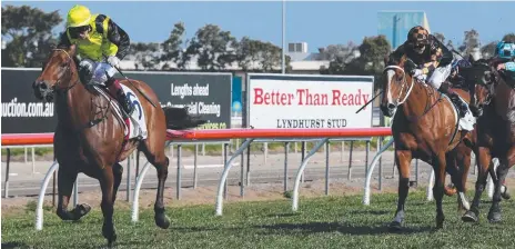  ?? Picture: GLENN HAMPSON ?? Man of the moment Jeff Lloyd wins on Sanctuary Cove at the Gold Coast yesterday.