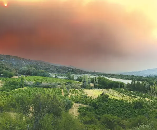  ??  ?? Above: severe forest fires were the result of the extreme heat in Chile in early 2017. Here the flames are on the other side of the hills, adjacent to a plot of 200-year-old País vines belonging to Viña González Bastías in the dry lands of Maule